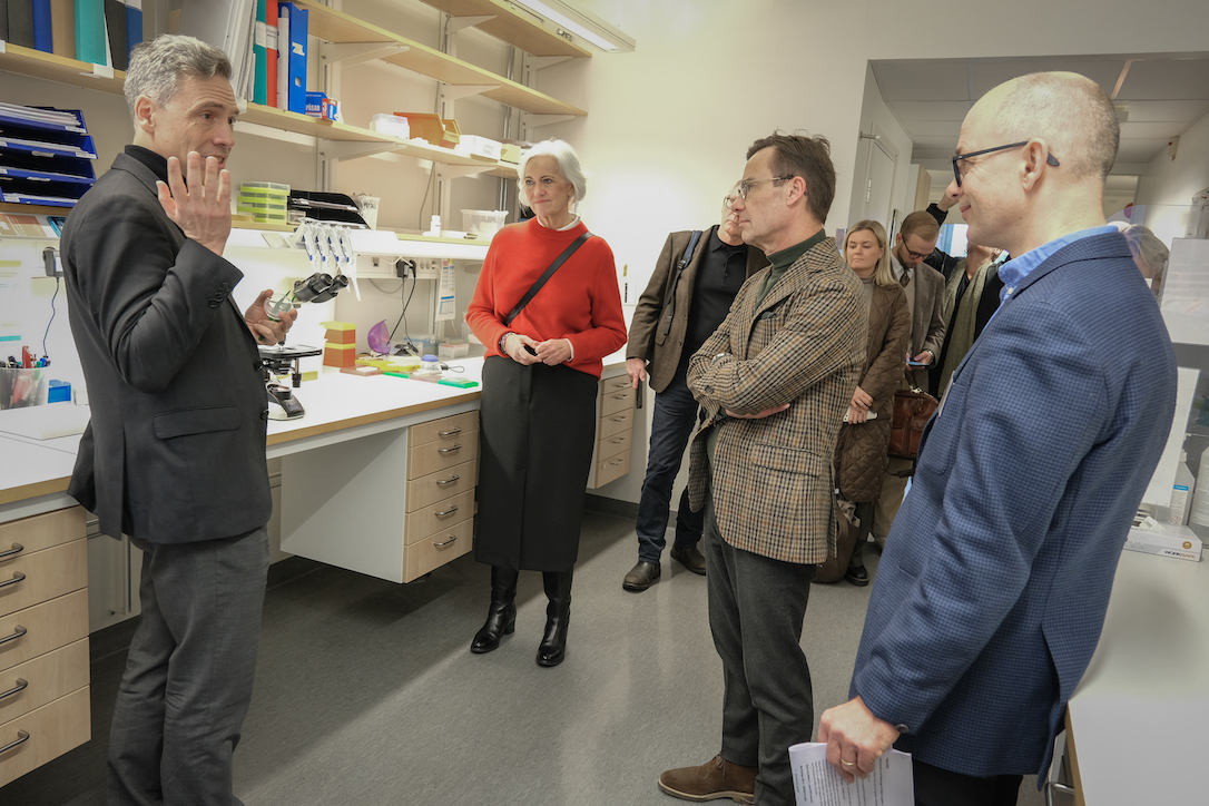 Genomic Medicine Sweden tweet media