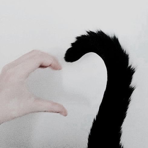 PJSZhen's tweet image. hiiii, i’m Zhen i'm looking for #moot 💖

– looking for engene, blink, carat, moa or any fandom esp hybe moots ! (all fandoms welcome) 
-he/him | 🇵🇭 | Not A Minor | ‘04
-ult: enha + svt + bp
not new to #kpoptwt/#stantwt
plz  ♡/ ↻ to be moots + so more ppl can find this thx!