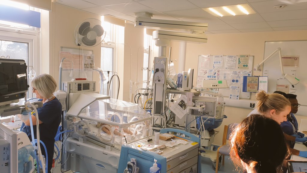 Tim Mason tweet media