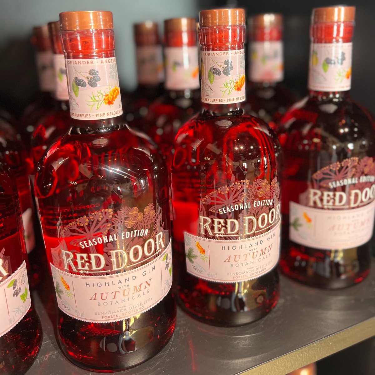 Take this Autumn up a notch with our Red Door Gin with Autumn Botanicals. Our gin will coat your mouth with the mellow fruitfulness of Scottish blackberries and fresh mists of fragrant pine needles.

Shop Red Door Gin with Autumn Botanicals: bit.ly/44DD8us