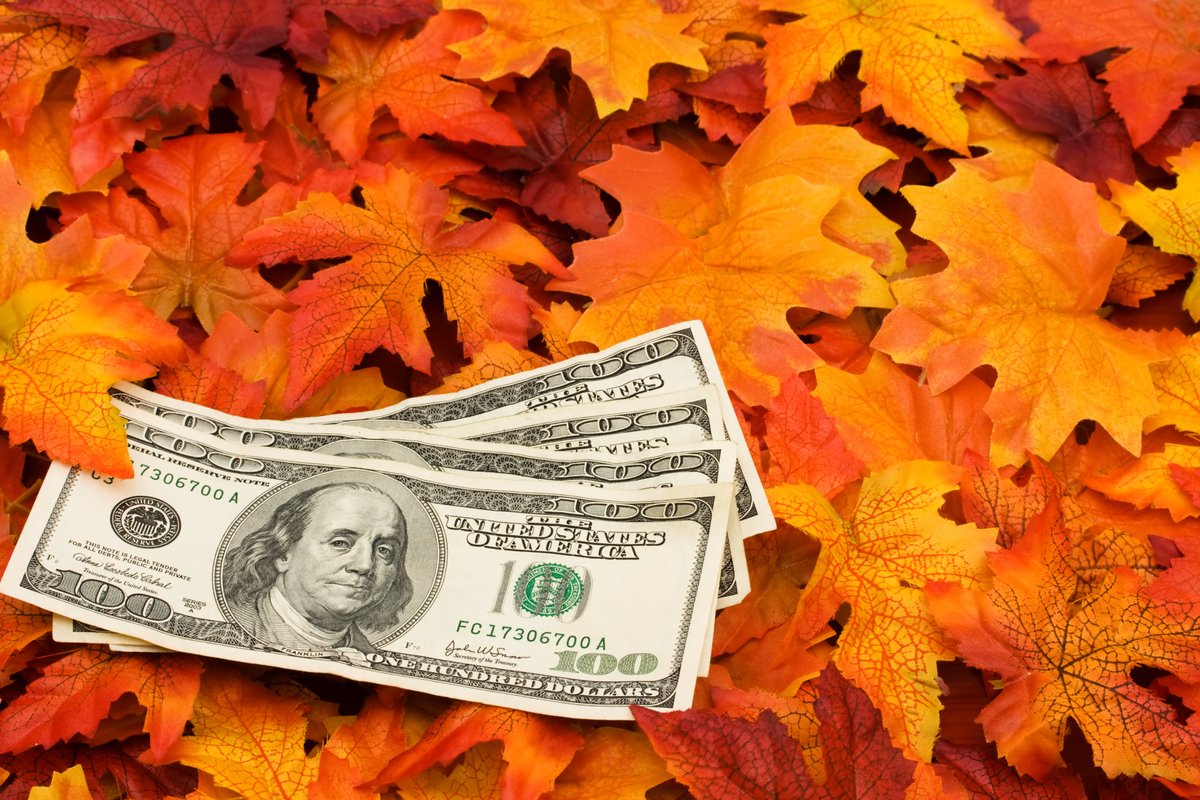 🍂 Fall Certificate Offer 🍂

New Term Certificates are available, just in time for autumn—now featuring 5.60% APY for 9 months!

💻 Learn More: bit.ly/44Rf8Ef   

(Federally insured by NCUA)