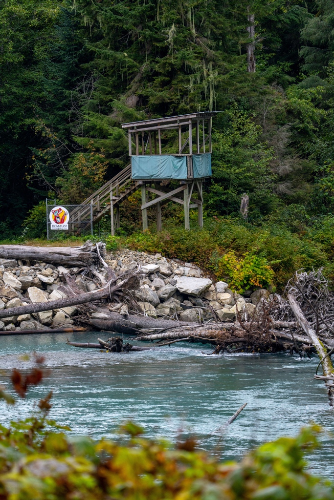 little peek at Tower 2. Have you booked for your 2024 Grizzly season? Now's the time!🤩

#bearviewing #wildlifeviewing #wildlife #wildlifephotography #photography #ecotourism #tourism #beautifuldestination #nature #travelBC #IndigenousBC #IndigenousCanada