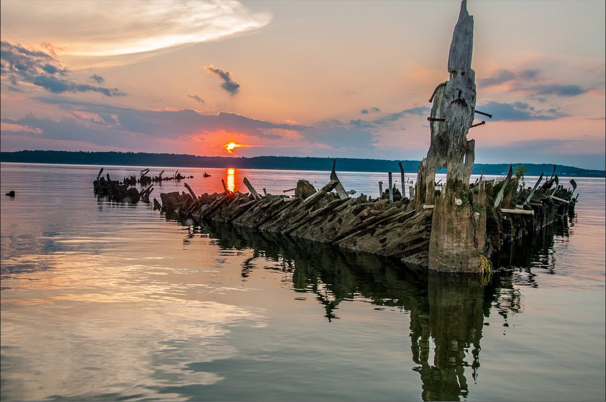 marinesanctuary's tweet photo. Is this #ghost fleet actually haunted...or is it your imagination? 👻
These spectral ships hold hidden #history & have second life as a sanctuary. Take a trip back in time to #MallowsBay National Marine Sanctuary & learn about the mystery: https://t.co/MgybA2fK7u #WreckWednesday https://t.co/1LxsAambqL