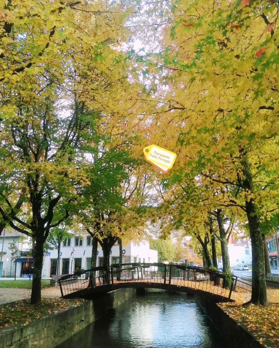 theurapeutic's tweet photo. @RCederfjard @SonjaSwissLife 🍁🍂🍃☔🌧️ https://t.co/UZDT6w6E8c