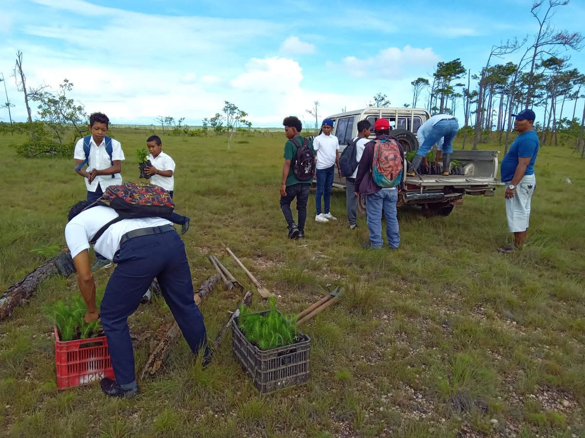 MarenaNicaragua's tweet photo. Con la cantidad de 1,500 plantas forestales, llevamos a cabo jornada de reforestación en la comunidad Tuapi, en coordinación con el #CADPI, #MINED y Estudiantes de la Costa Caribe Norte.
#VerdeQueTeQuieroVerde
#Nicaragua
#MARENA
#AmorAlaMadreTierra https://t.co/KLiJEALRJN