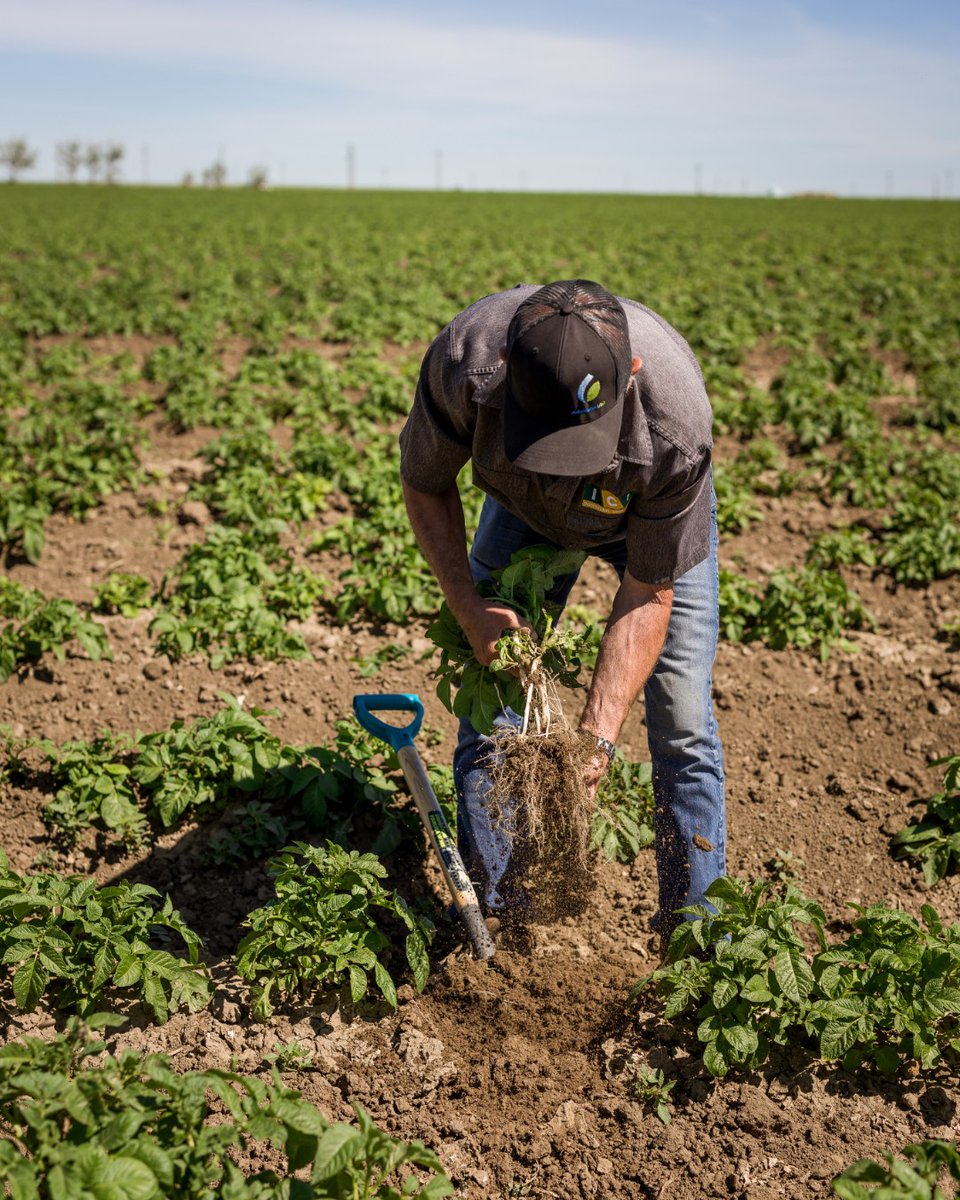 AdvancedAg tweet media