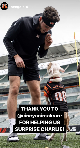 We're not saying Pua is the reason the Bengals won on Sunday, but we're not saying she's not the reason.