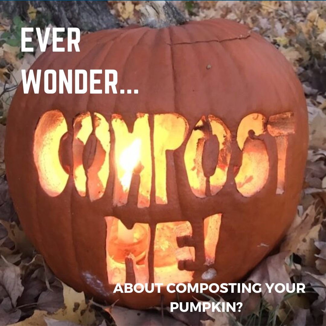 Blue Scholars Initiative tweet media