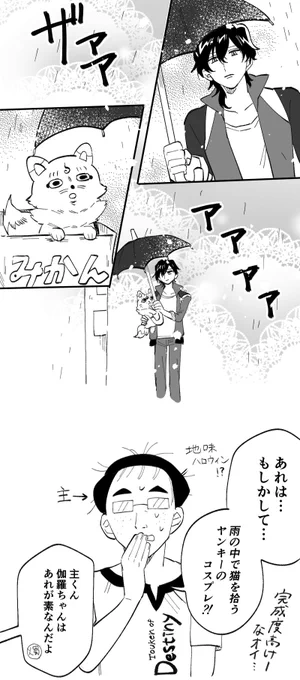ハロウィン2日目
※男審神者いる 