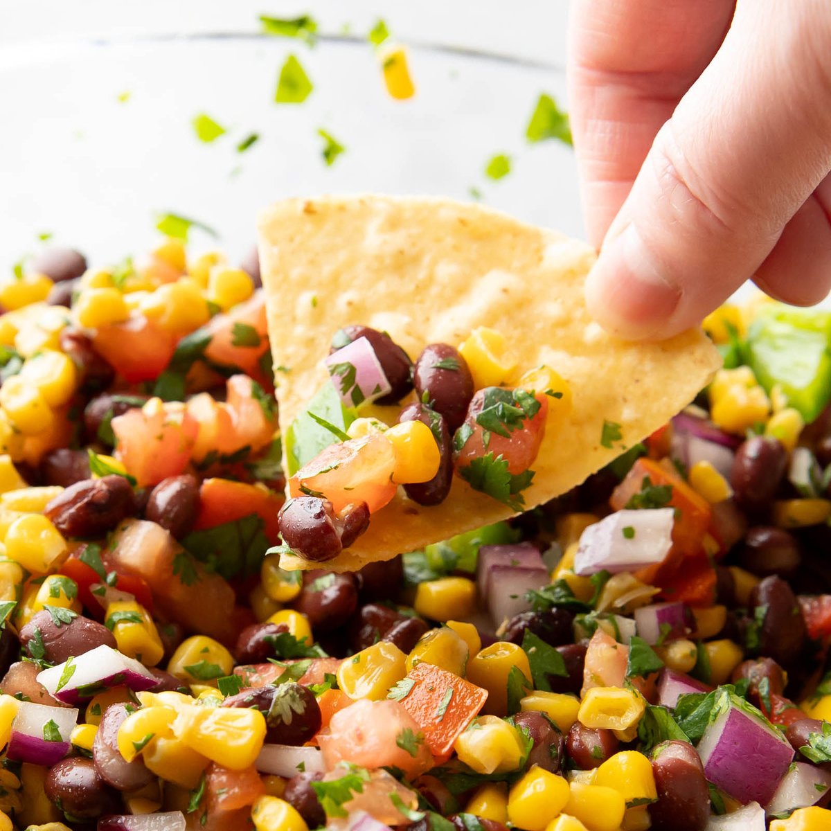 BeamingBaker's tweet photo. Black Bean and Corn Salsa 🥰 Zesty lime and warm cumin balance sweet corn and savory black bean in the tastiest Black Bean and Corn Salsa! Our favorite black bean and corn salsa recipe!
​​​​​​​​
Get the recipe: https://t.co/QnuvCYQvt5 https://t.co/DjHbsTDxWj