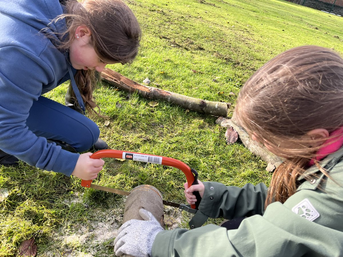 FSOLOC's tweet photo. Sometimes it’s easier to work with a friend! Good teamwork, Year 6 👍 https://t.co/kZzK6L58UI
