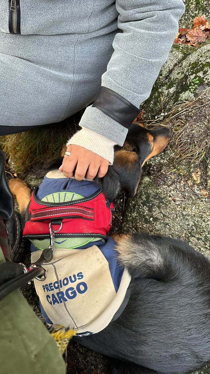 Mad0ka_co's tweet photo. Aujourd’hui, nous avons fait une sublime balade dans le Morvan grâce à l’application #Legendex de @didichandouidou 🥰
De plus, la Grotte aux Fées a marqué la première balade de Ryuk, le nouveau membre de notre famille 🐶
Merci à Didi, son application est vraiment cool ✨ https://t.co/cehoK4IRLf