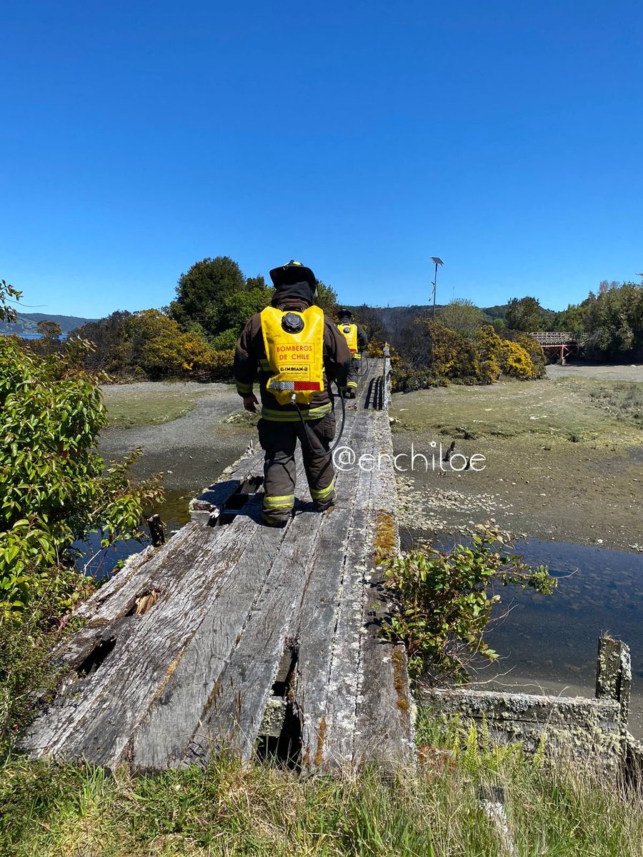 erchiloe's tweet photo. 𝗤𝗨𝗘𝗜𝗟𝗘𝗡 🚨 
Unidades de Bomberos avanzaron al sector #Detico, por quema de pastizales y/o matorrales. 
📷 Cedida https://t.co/OZpPZPt81z