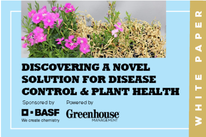 Did you know that Intrinsic brand fungicides were the first ever fungicide solutions recognized by the EPA for their plant health benefits? Learn more about the science of Intrinsic in our latest whitepaper: bit.ly/45KVYRb