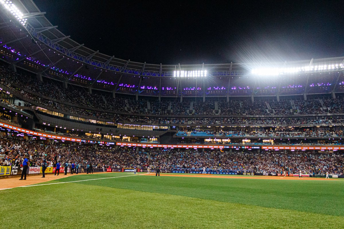 Leones del Caracas tweet media