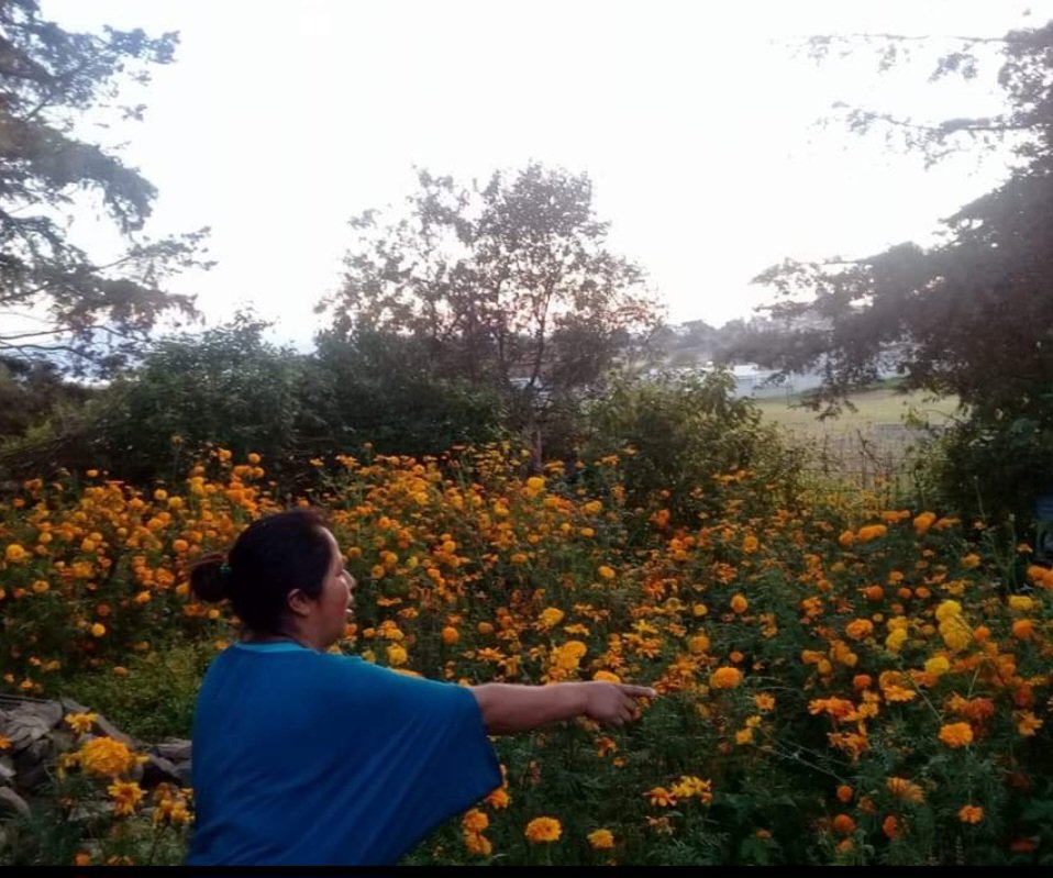 JAZMINxfizz's tweet image. 1 de noviembre como el Día de Todos los Santos y corresponde a los niños , mientras que el 2 de noviembre es llamado el Día de los Muertos, es decir, todos los adultos. 
Tu como los recibes?
#VillaVictoriaUnidoyFuerte
#TradicionesVillaVictoria