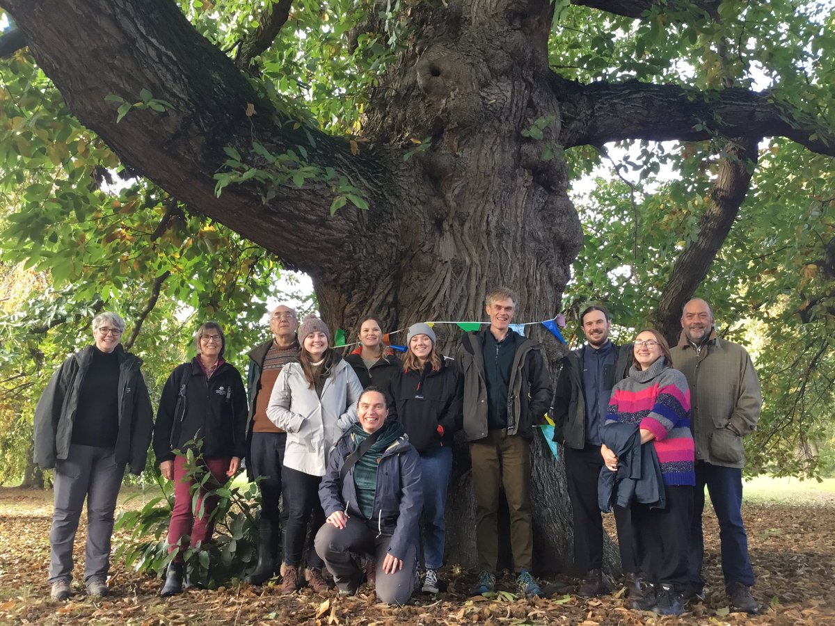 Wales @CoedCadw team members meeting with @WoodlandTrust Campaigns Team, beneath the Acton Park Sweet Chestnut #TreeOfTheYear Wrexham.

Talking about @wrexhamcbc tree strategy & pledge, #TreeEquity plus so much more 💚🌳

wrexham.gov.uk/service/wrexha….