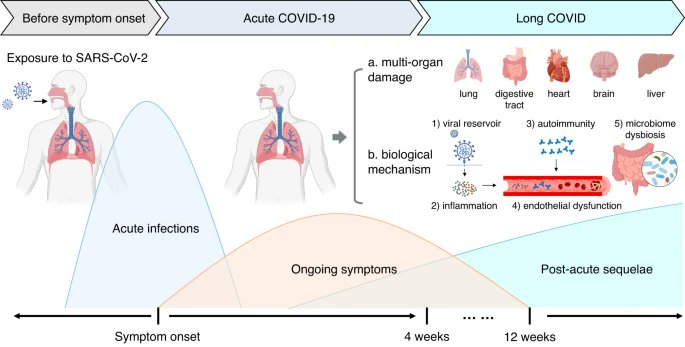 LONG COVID in 3 GRAPHS Timeline and multi-organ damage of long COVID