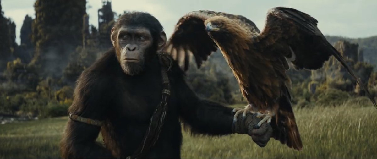 SeriesUpdateFR's tweet photo. Première image du nouveau film La Planète des singes.

Le 22 mai 2024 au cinéma. https://t.co/eW0v0g7Ikb