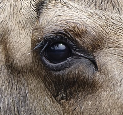 Discovery Channel UK tweet media