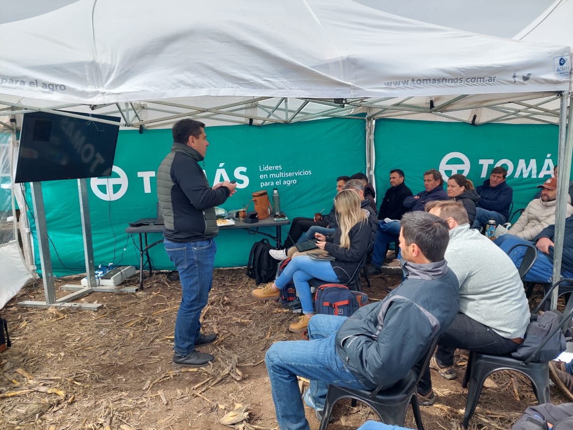 TOMÁS HNOS tweet media