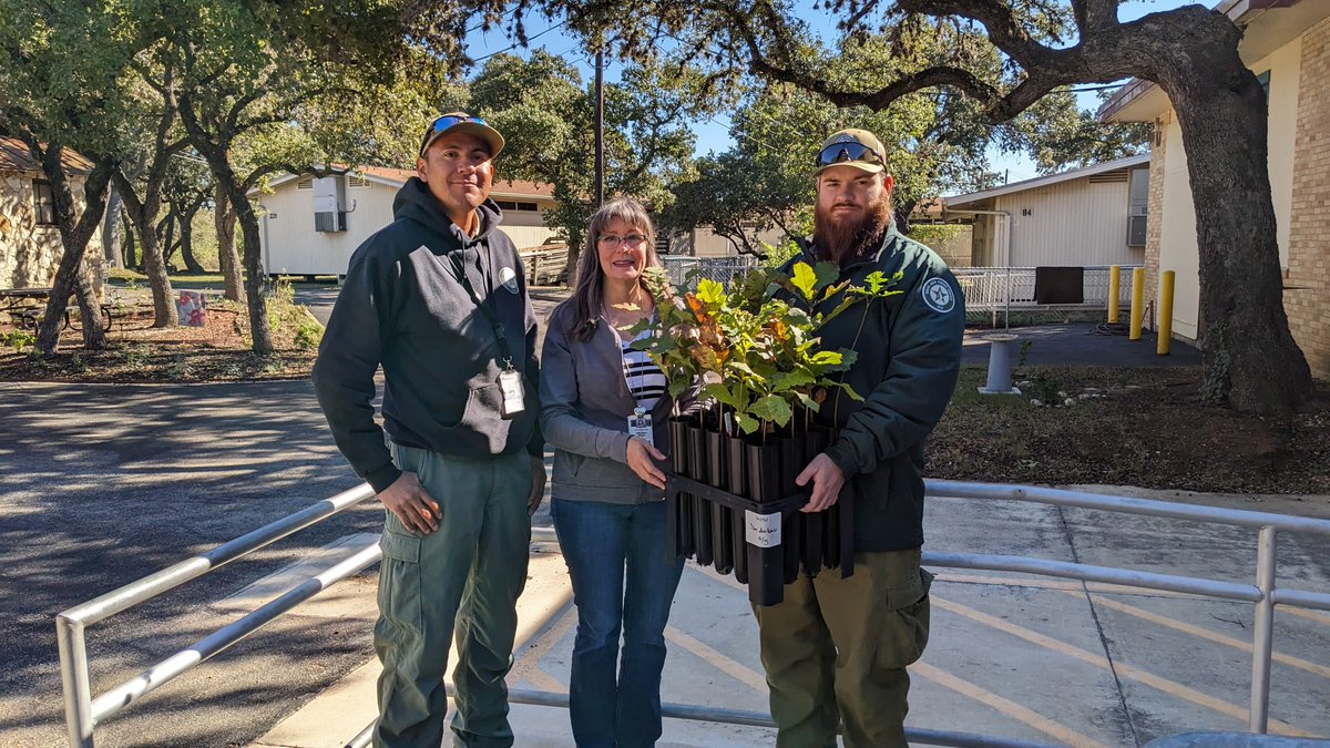 Thank you to Texas A &amp; M Forest Service for the free trees for our tree planting on #TexasArborDay this Friday Nov. 3. These 20 trees will be added to the Northside Alternative Middle School campus to help combat climate change one tree at a time.  #NISDProjectACORN