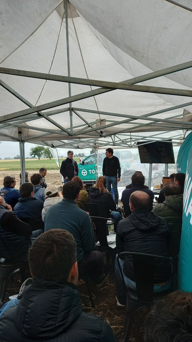 TOMÁS HNOS tweet media