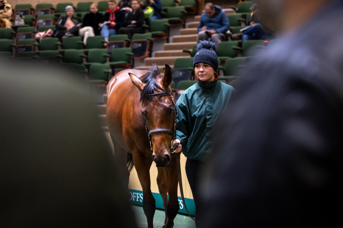 Goffs tweet media