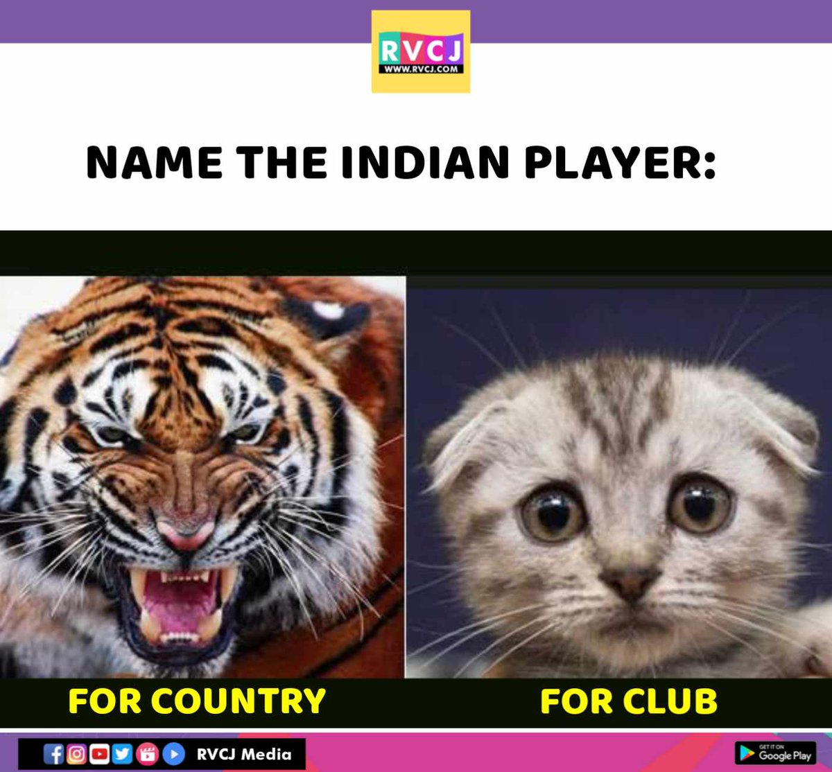 RVCJ Media tweet media