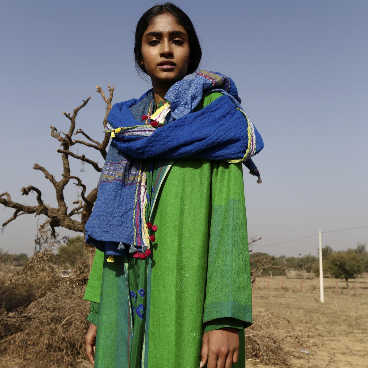 Designers Guild tweet media