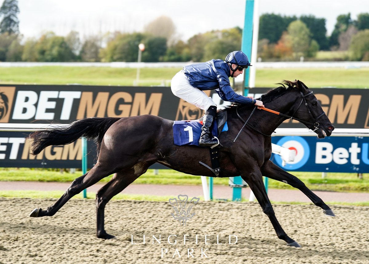LingfieldPark's tweet photo. RACE 2 RESULT β Bet 10 Get 40 At BetMGM Novice Stakes
π₯ Accumulate
Jockey: @mitcheljack77
Trainer: @varianstable
π·: Megan Coggin
#LingfieldPark | #LINWAR https://t.co/JMux7ipPct