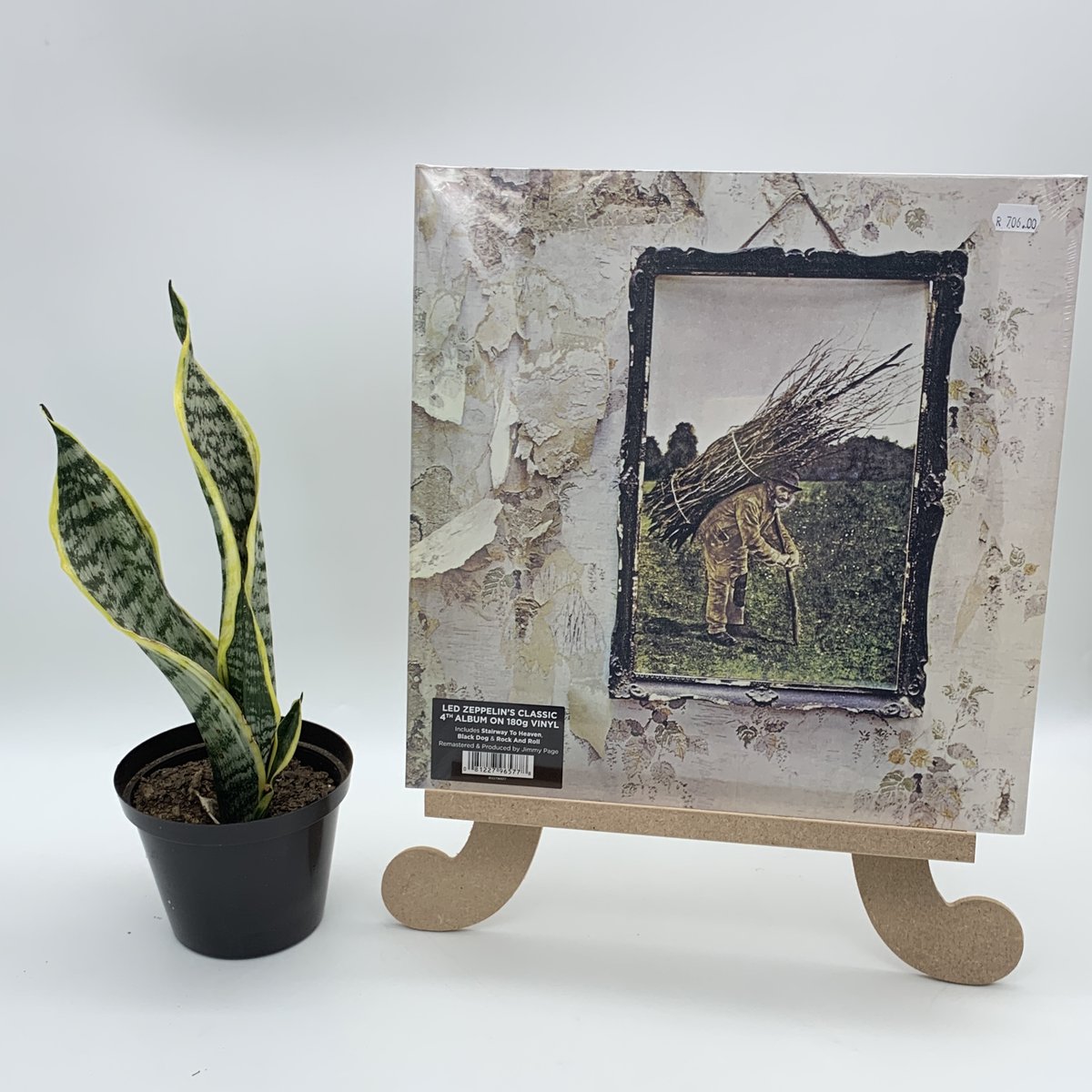 Time for some rock trivia!

🤔 What year was Led Zeppelin's "IV" album released, and what's the iconic track it's most famous for?

Reply with your answers and don't forget to check out this classic on vinyl!

echosrecordbar.co.za/product/89457-…

#TriviaFriday #LedZeppelin #RockMusicTrivia