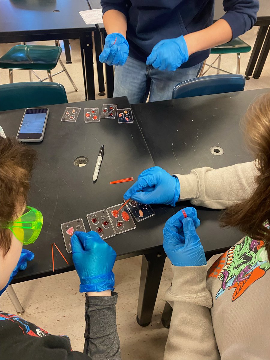 MCCTC (@mcctc) on Twitter photo STEM biomed working on a blood typing lab this morning! <a href="/MaraBanfield/">Dr. Mara L. Banfield</a> @Hamp_58 <a href="/jcene2019/">Jessica Cene</a> STEM biomed working on a blood typing lab this morning! <a href="/MaraBanfield/">Dr. Mara L. Banfield</a> @Hamp_58 <a href="/jcene2019/">Jessica Cene</a>