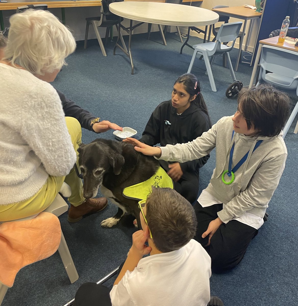 TrinityAc_ESB's tweet image. We were very happy to welcome Fitch and Janet back to the ESB today. What a lovely afternoon of cuddles, conversation and conquering fears #socialskills #turntaking #emotionalregulation #communication @TherapetC