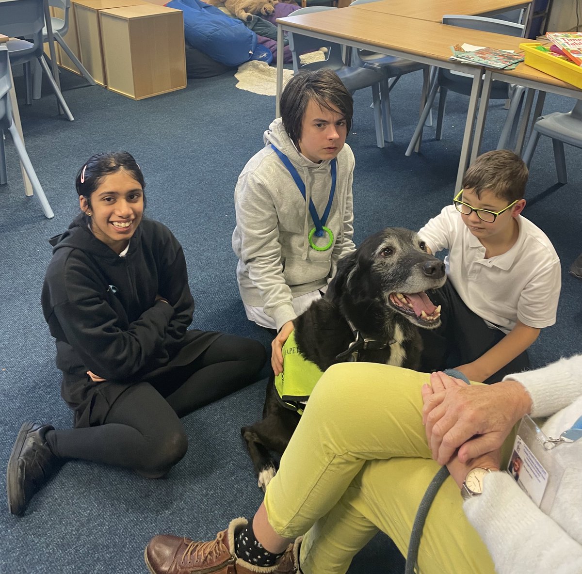 TrinityAc_ESB's tweet image. We were very happy to welcome Fitch and Janet back to the ESB today. What a lovely afternoon of cuddles, conversation and conquering fears #socialskills #turntaking #emotionalregulation #communication @TherapetC