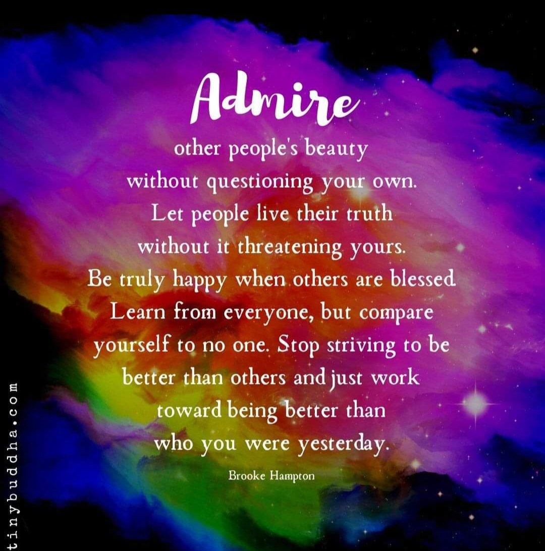 Monica 🌊🌻💙🏳️‍🌈 (@softtail65) on Twitter photo 