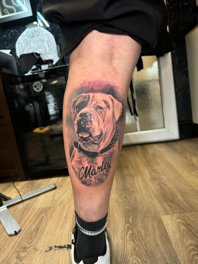 The old dog with me forever R.I.P Marley boy x