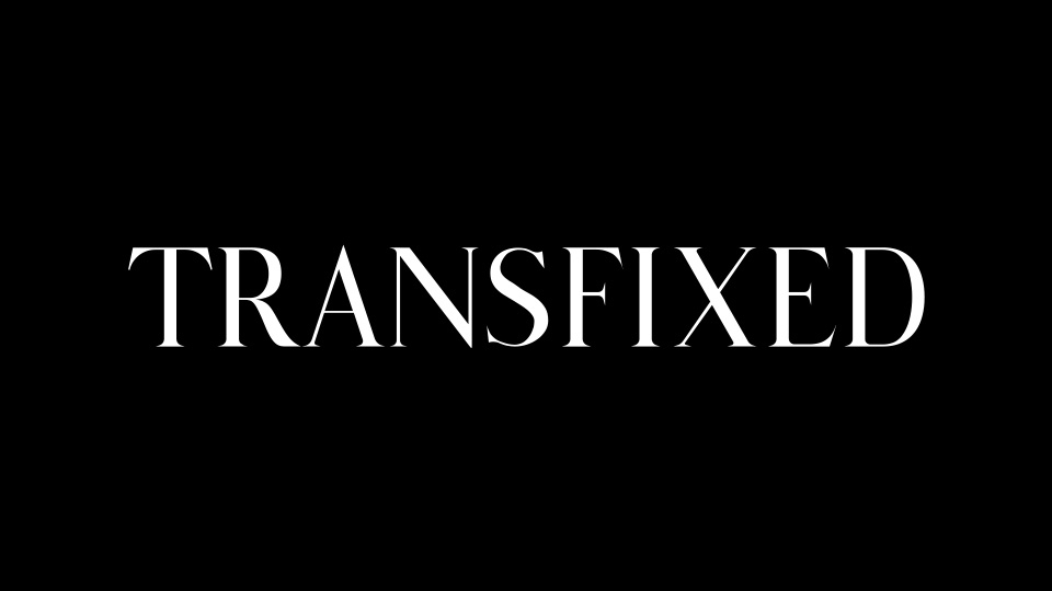 Transfixed Marks 5th Anniversary with Expanded Offerings, New Lesbian Feature @adulttimecom @transfixedcom xbiz.com/news/277745/tr…