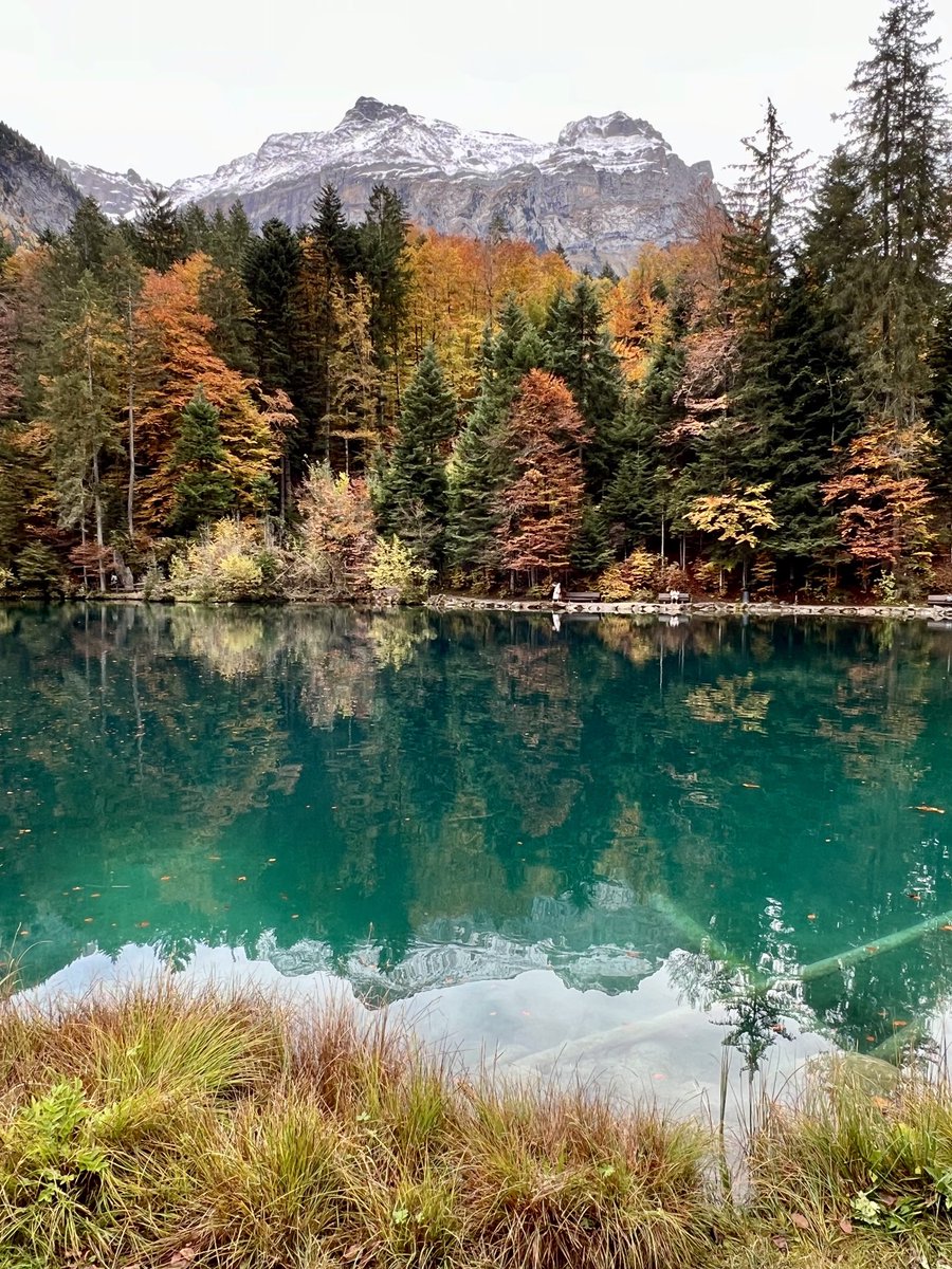 #NaturPhotography #Blausee