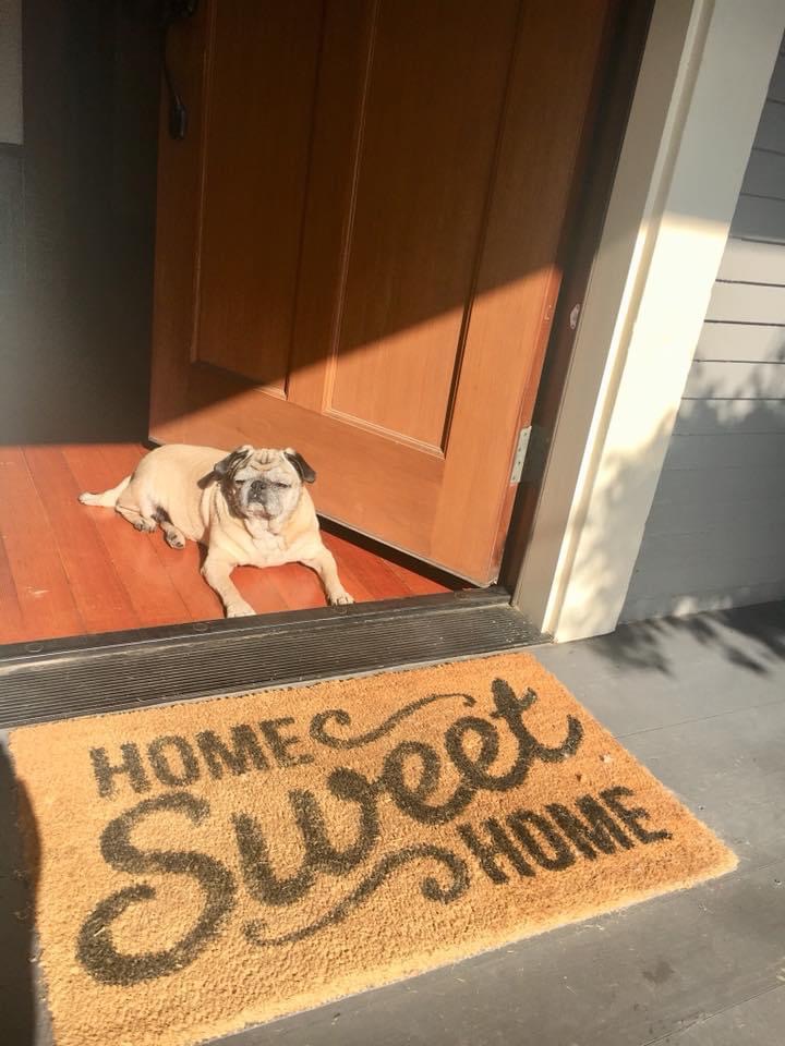 Your home is your oasis. So, keeping it protected, secure, and as energy efficient as possible with new doors is key.
Whether it's a simple replacement, or something more custom, we've got you covered. Call us today to get a free quote for an exterior door replacement!