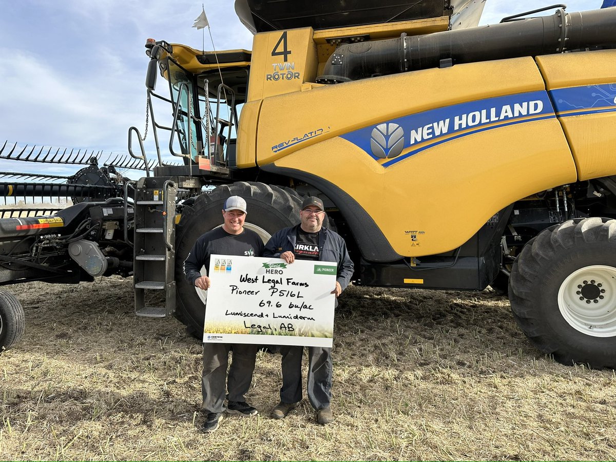 Great Yield on West Legal Farms with P516L!  <a href="/PioneerSeedsCA/">Pioneer Seeds Canada</a> #YieldHero23