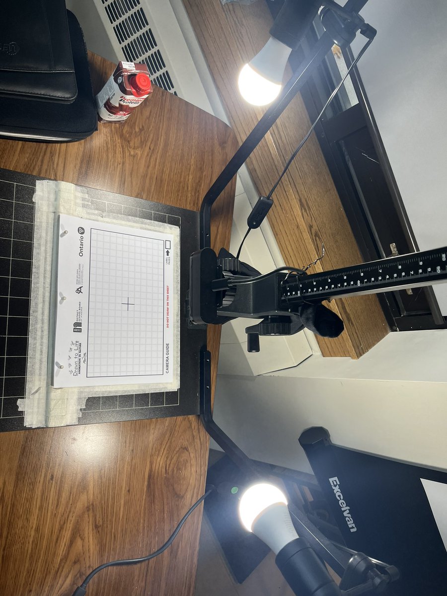 Grade 4/5 having fun with Outdoor animation Thank you  <a href="/copetoons/">Mike Cope</a> <a href="/dsbn/">District School Board of Niagara</a> @DSBNOutdoorED <a href="/ONArtsCouncil/">Ontario Arts Council</a> for this awesome experience.