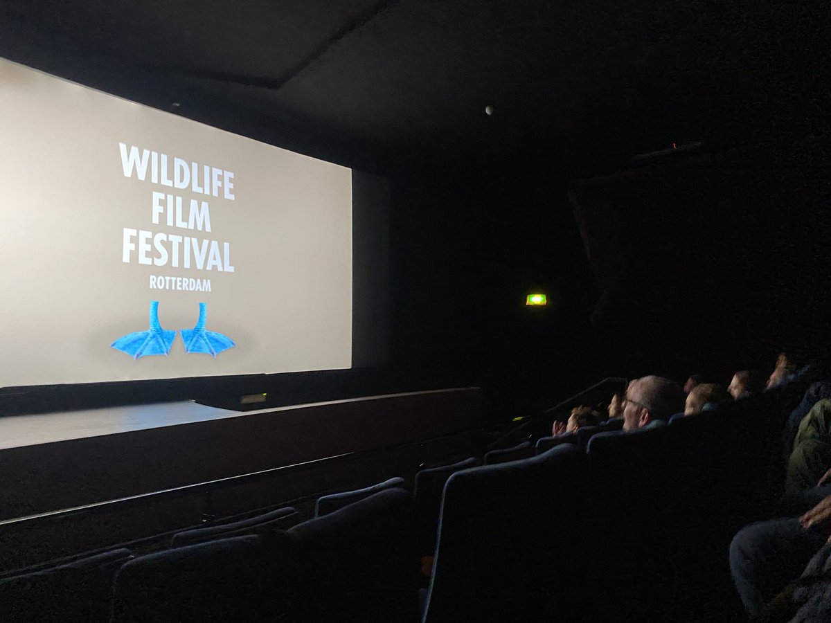mahieu's tweet photo. Spechten die nesten uithakken in isolatiemateriaal, smeltende poolkappen én otters die vlekkeloos samenleven met mensen. Het Wildlife Film Festival Rotterdam #wffr is bezig!
Tip: een digitaal passepartout kost niet veel en geeft wekenlang natuurplezier!
https://t.co/pi1Zc1TDU8 https://t.co/lKxxDu1IHm
