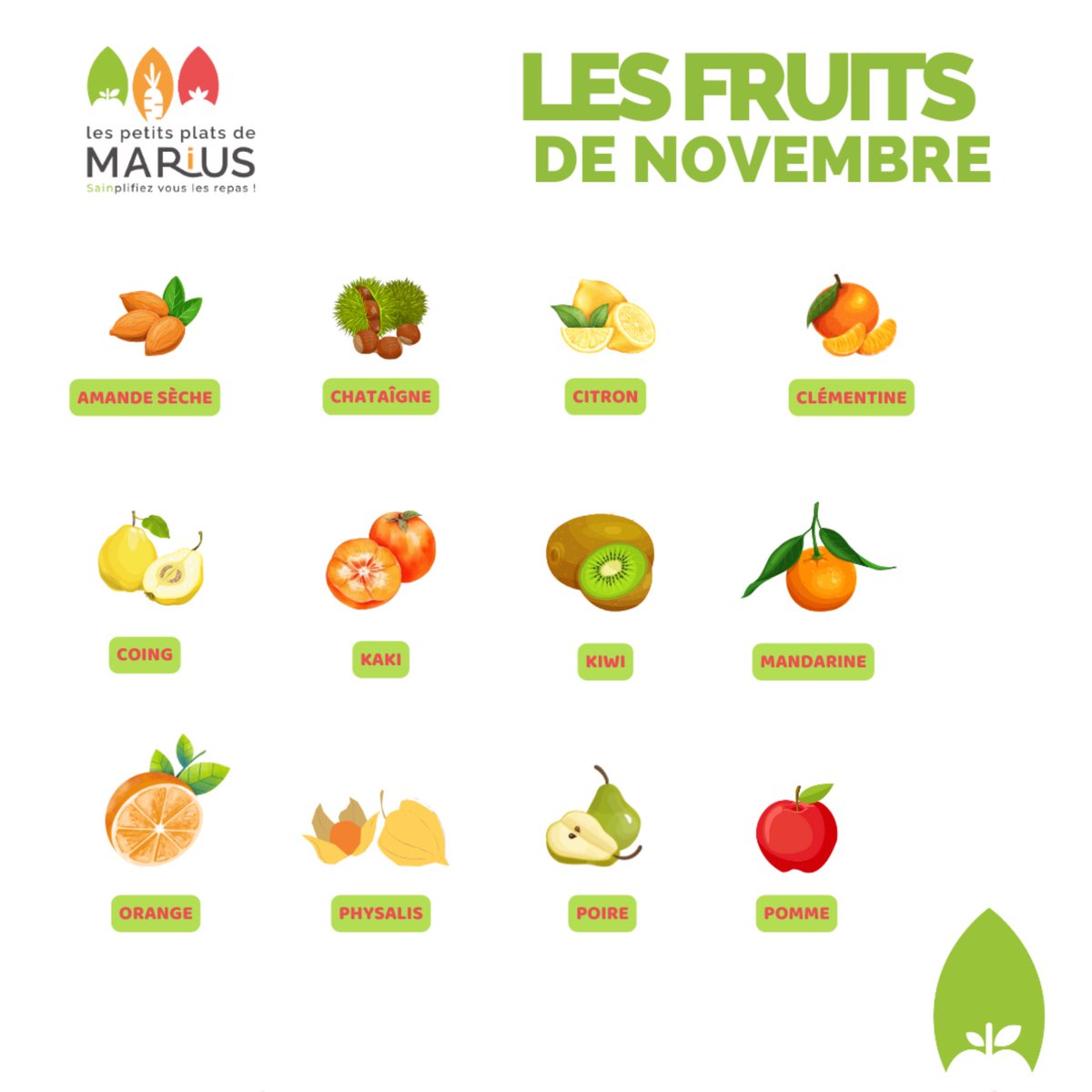 🍂 Novembre rime avec #lespetitsplatsdemarius ! 🚀 Découvrez le #salsifi, #topinambour, #rutabaga, et plus dans nos box. 🎁 Un festin pour vous et bébé ! 🍽️ Quel légume serait le héros d’un film d’aventure ? 🎬 Lâchez vos idées ! 🎉 #parenting #youngparents #foodie #recettes