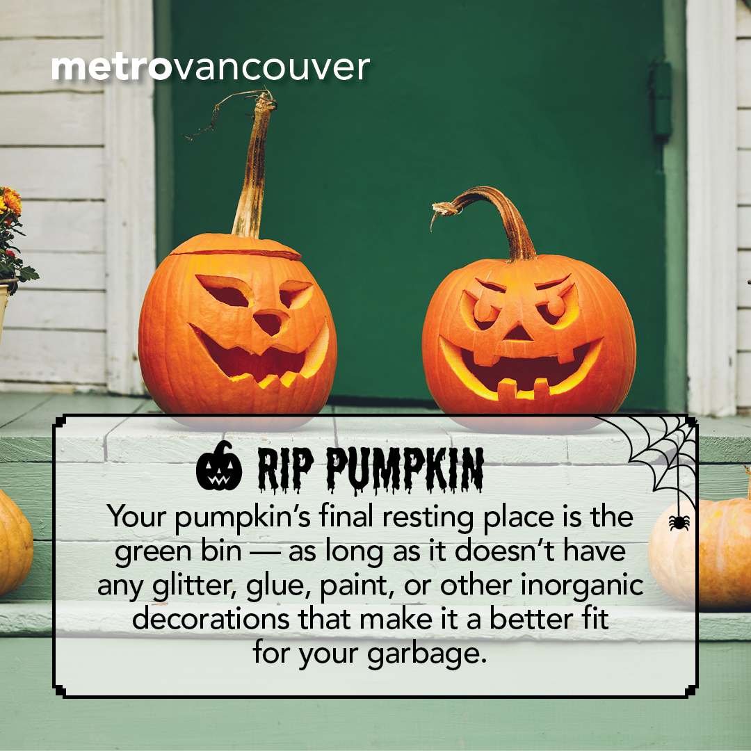 MetroVancouver's tweet photo. Have no fear – post-Halloween tips are here! Try these easy tips to reduce waste and make next year even more spooktacular.🎃#metrovancouver #ZeroWaste #EveryBiteCounts #ThinkThriceAboutYourClothes @lfhw_ca https://t.co/fl4quDK2rX