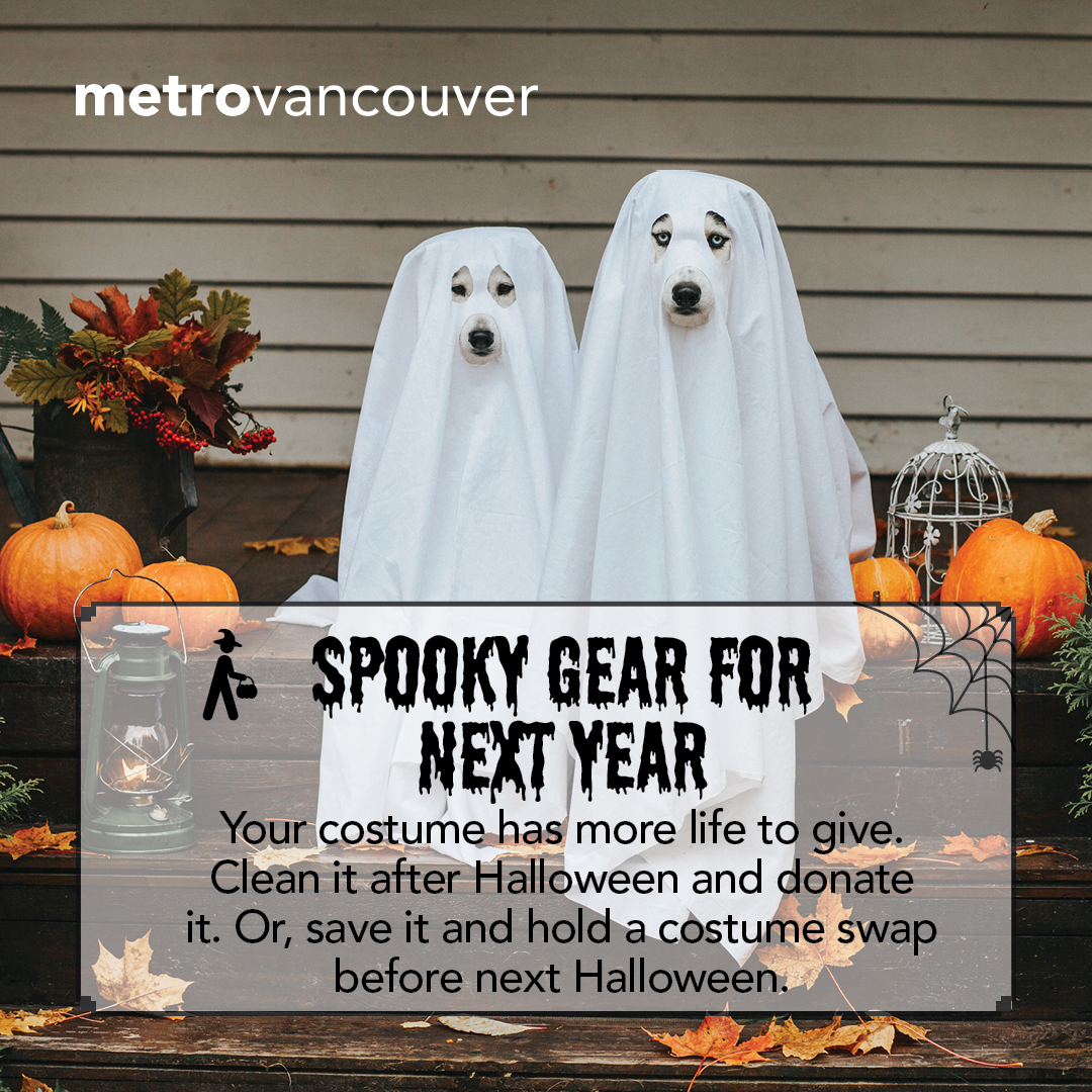 MetroVancouver's tweet photo. Have no fear – post-Halloween tips are here! Try these easy tips to reduce waste and make next year even more spooktacular.🎃#metrovancouver #ZeroWaste #EveryBiteCounts #ThinkThriceAboutYourClothes @lfhw_ca https://t.co/fl4quDK2rX