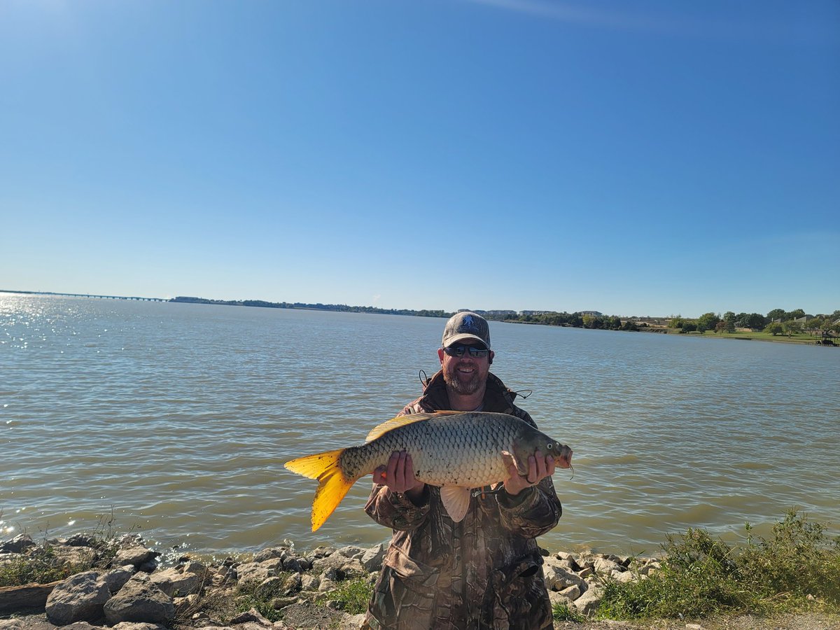 fishstalker tweet media