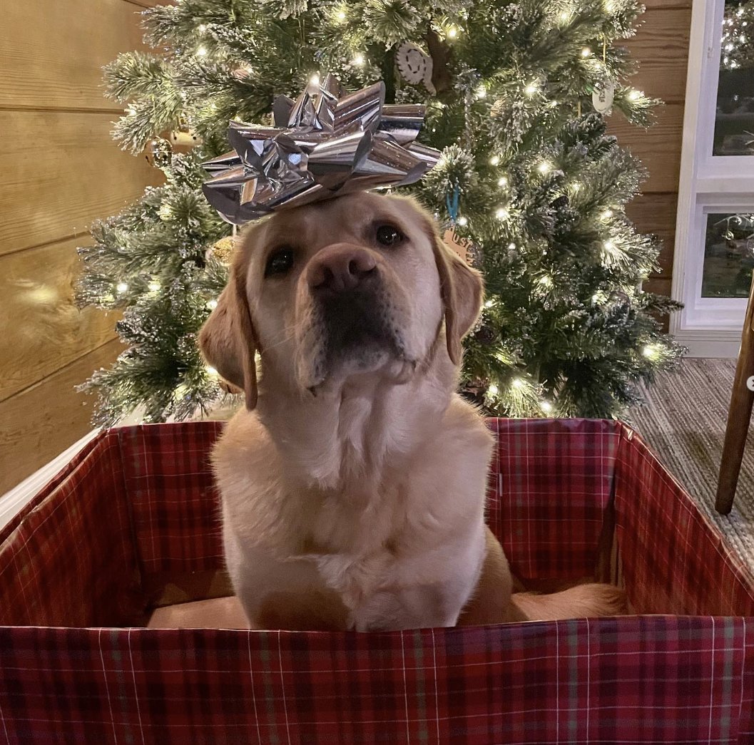 Oct. 31 vs. Nov. 1 (Barclay's Version) #stlblues