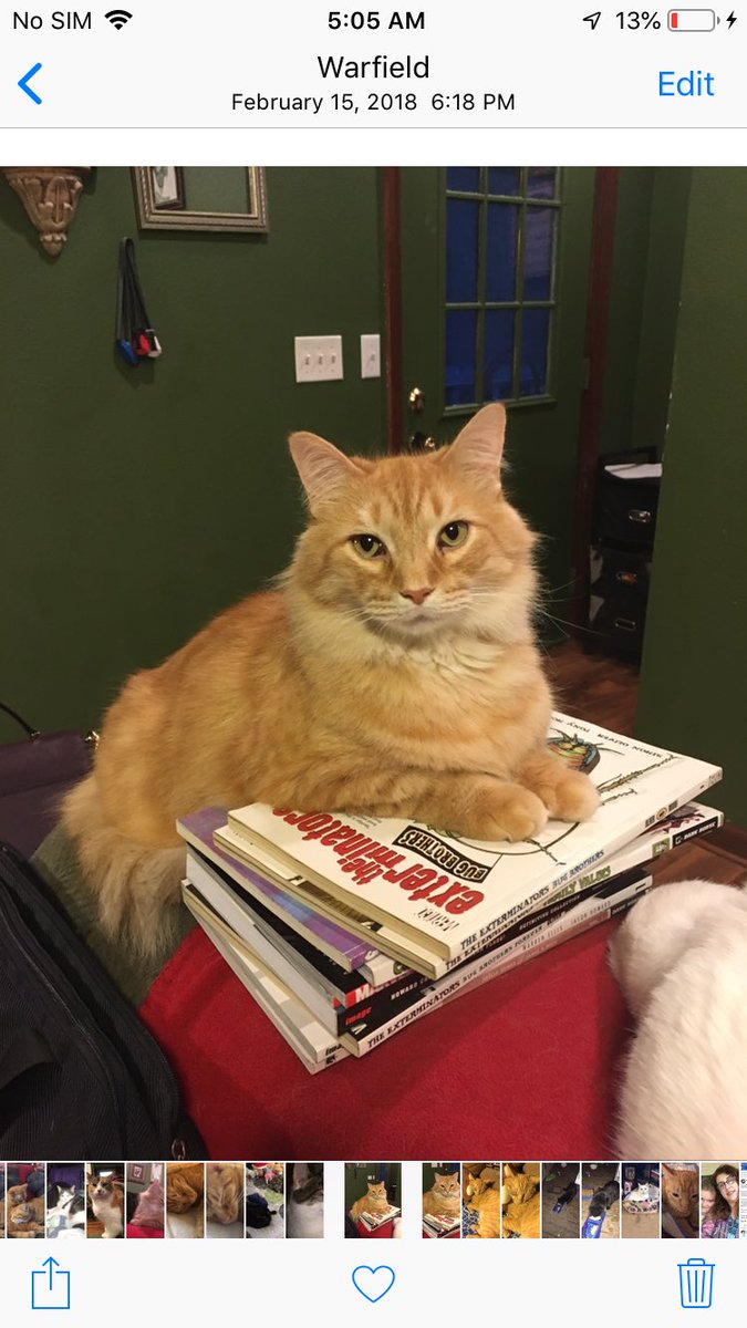 madstormy's tweet photo. Missing my Hobbes https://t.co/zrkFqjmf3Y
