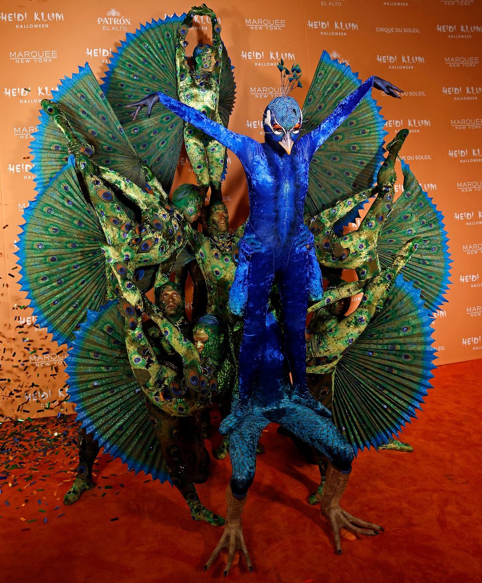 Night Daily tweet media